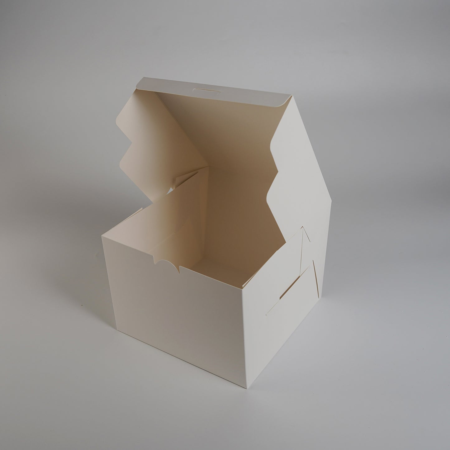 One Piece Cake Box