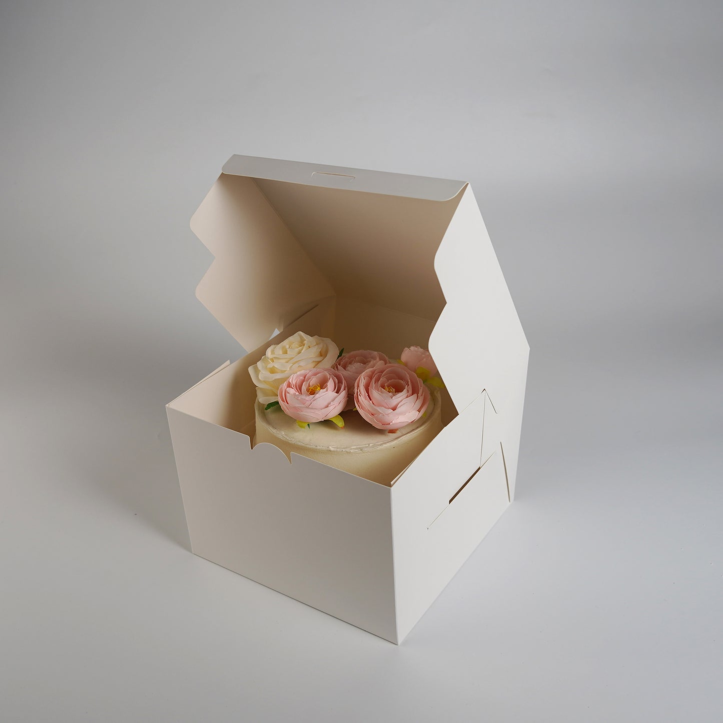One Piece Cake Box